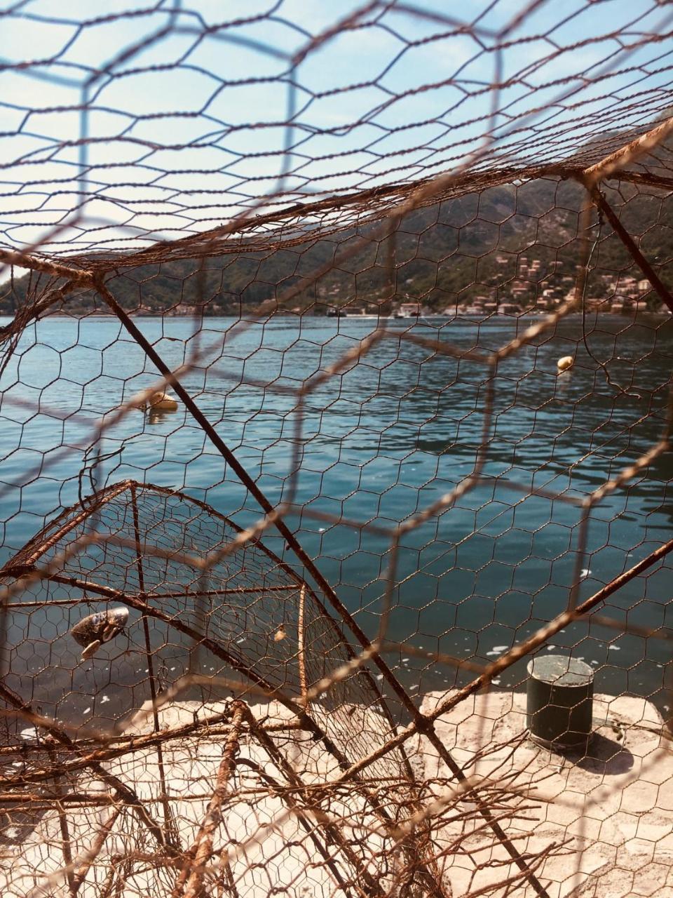 Oldhouse Vucinovic Tivat
