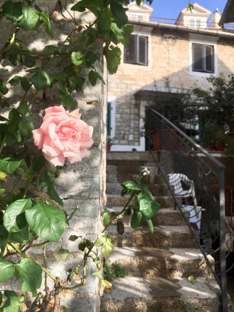 Oldhouse Vucinovic * Tivat