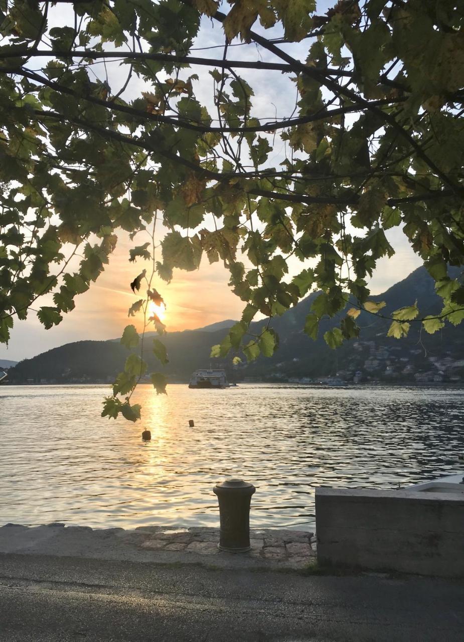 Oldhouse Vucinovic Tivat