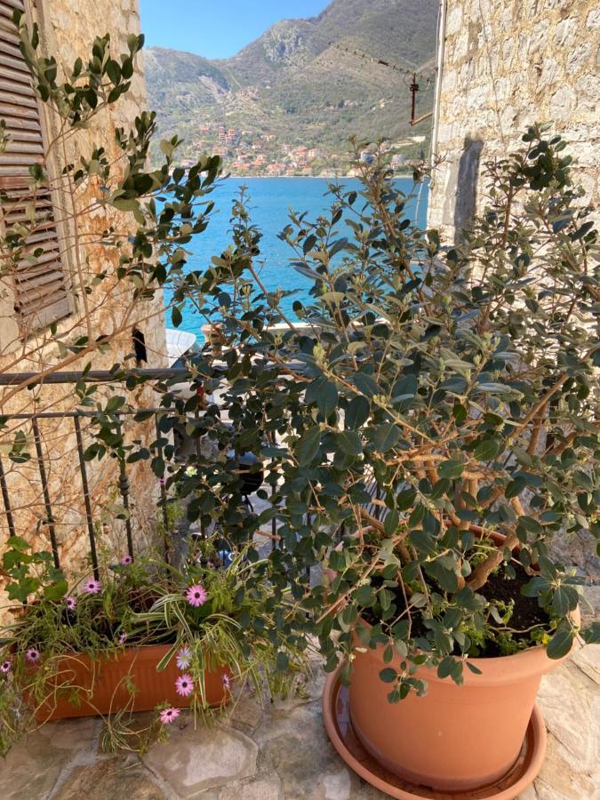 Oldhouse Vucinovic * Tivat