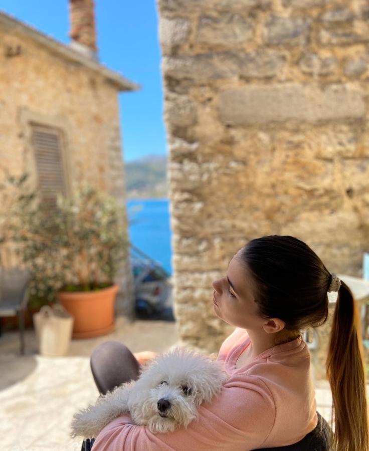 Oldhouse Vucinovic * Tivat