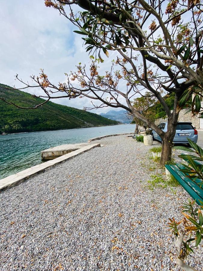 Oldhouse Vucinovic Tivat