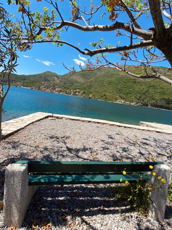 Oldhouse Vucinovic Tivat