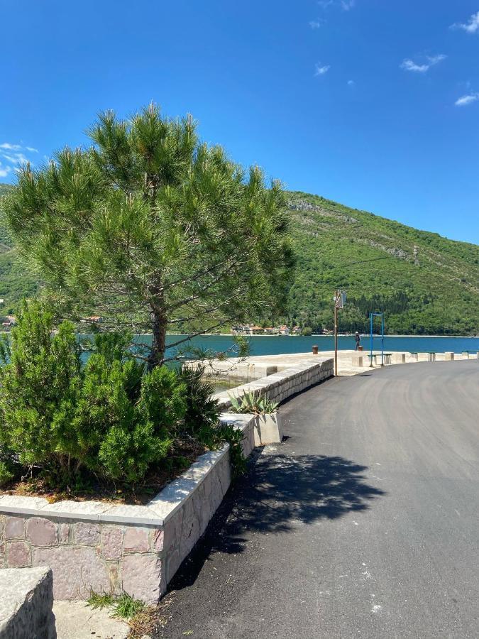 Oldhouse Vucinovic Apartment Tivat