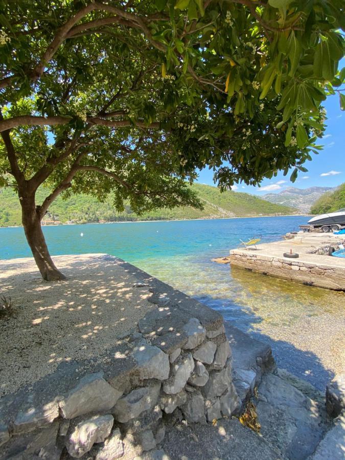 Apartment Oldhouse Vucinovic Tivat