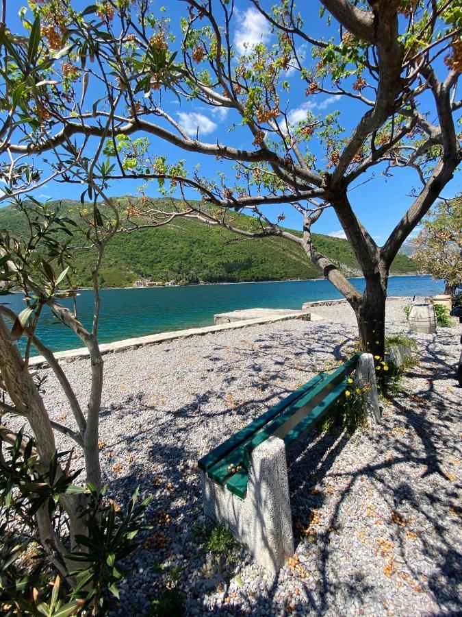 Oldhouse Vucinovic Tivat